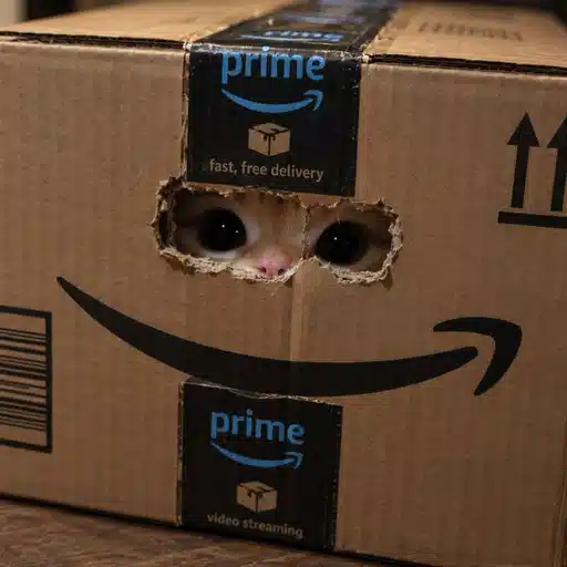 $PRIMECAT token